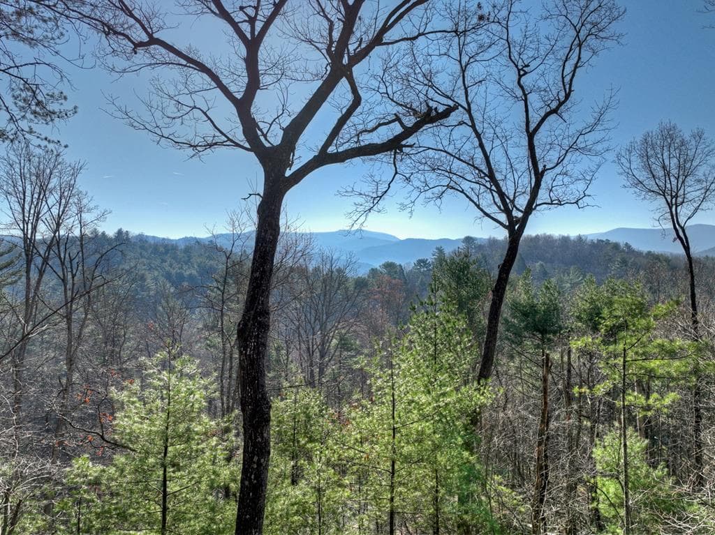 1183 Bear Paw Trail, Blue Ridge GA 30513 - Photo