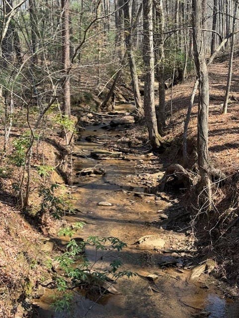 Lot 339 Timber Creek Trail, Talking Rock GA 30175 - Photo
