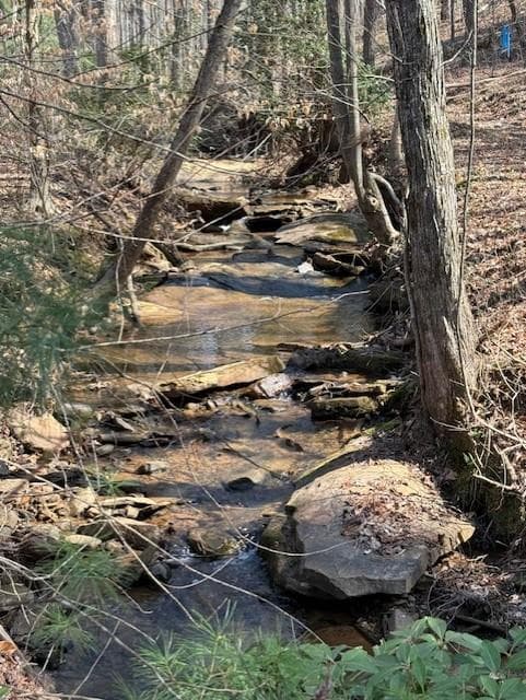 Lot 339 Timber Creek Trail, Talking Rock GA 30175 - Primary photo