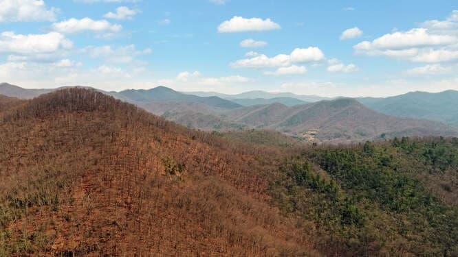 279 Collins Creek Road, Hiawassee GA 30546 - Photo