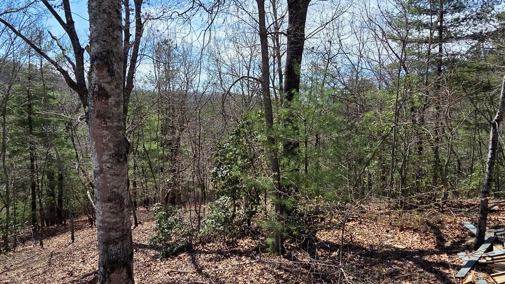 Lot 24 Pine Log Circle, Warne NC 28909 - Photo