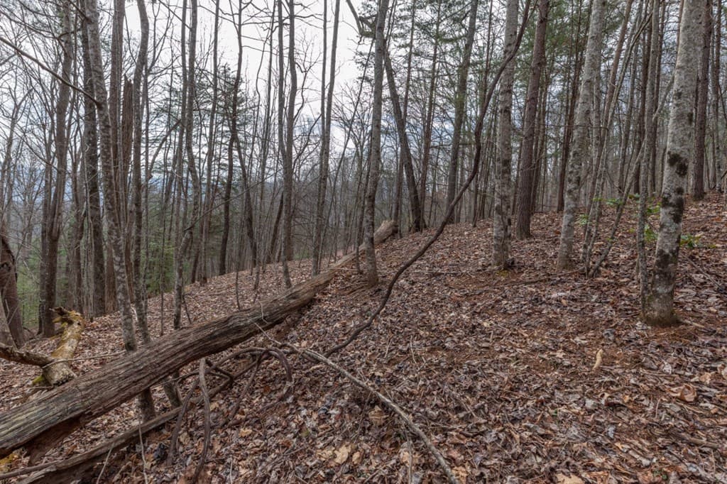 Lot 19A Stephens Road, Blairsville GA 30512 - Photo