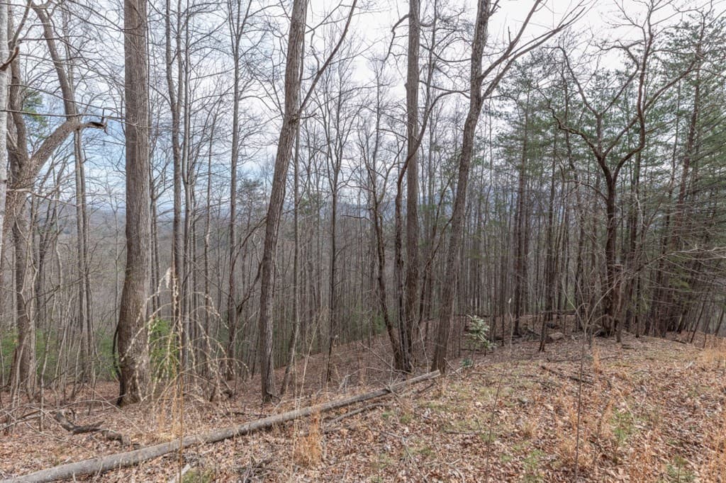 Lot 19A Stephens Road, Blairsville GA 30512 - Photo