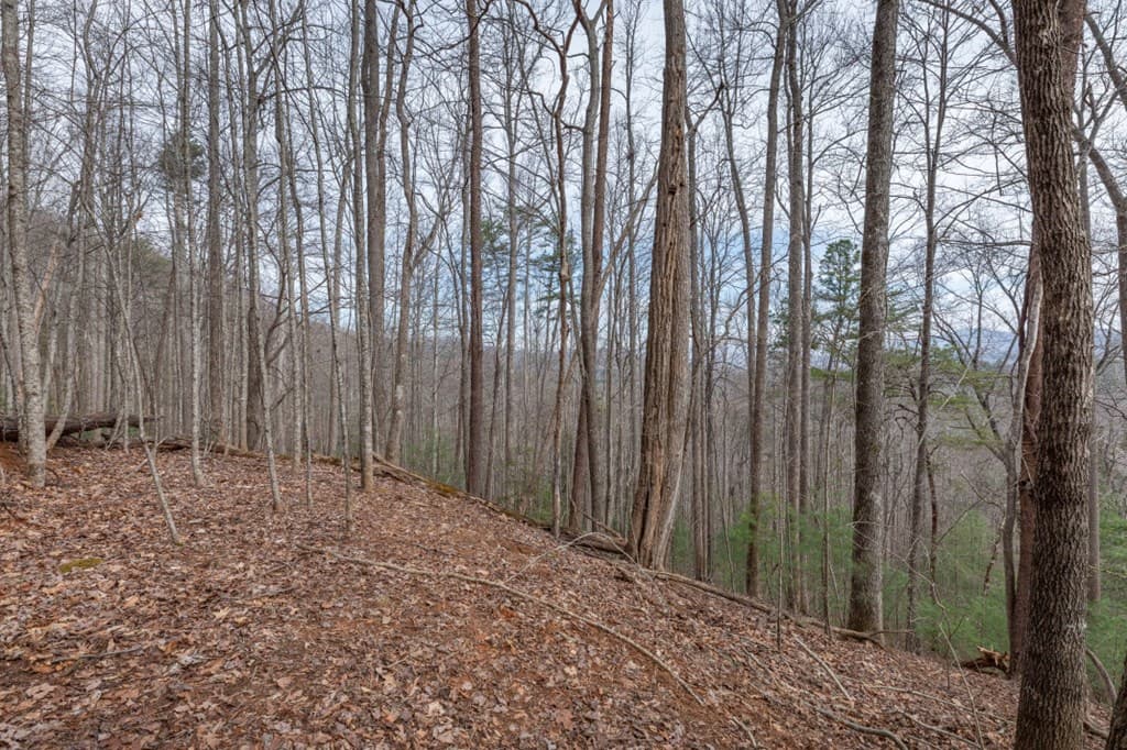 Lot 19A Stephens Road, Blairsville GA 30512 - Photo