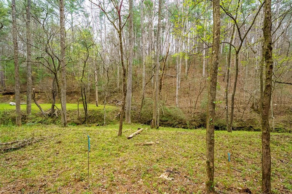 0 Red Oak Trail, Ellijay GA 30540 - Photo