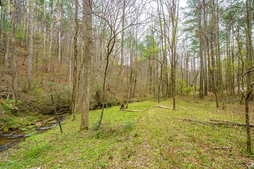 0 Red Oak Trail, Ellijay GA 30540 - Photo