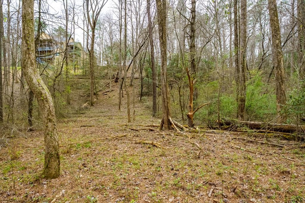 0 Red Oak Trail, Ellijay GA 30540 - Photo