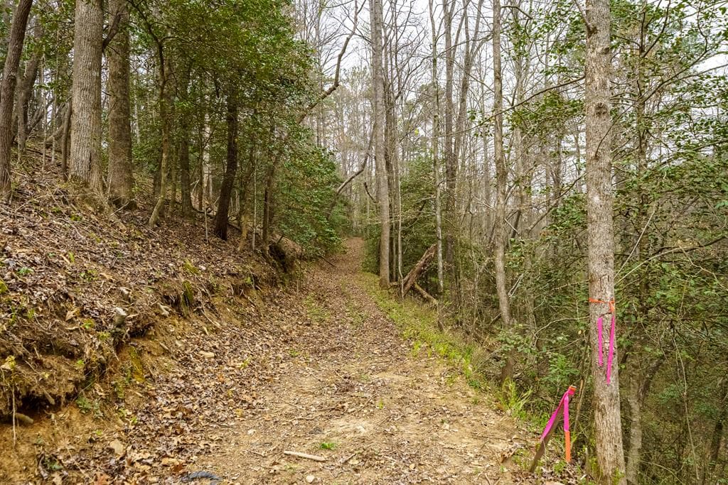 0 Red Oak Trail, Ellijay GA 30540 - Photo