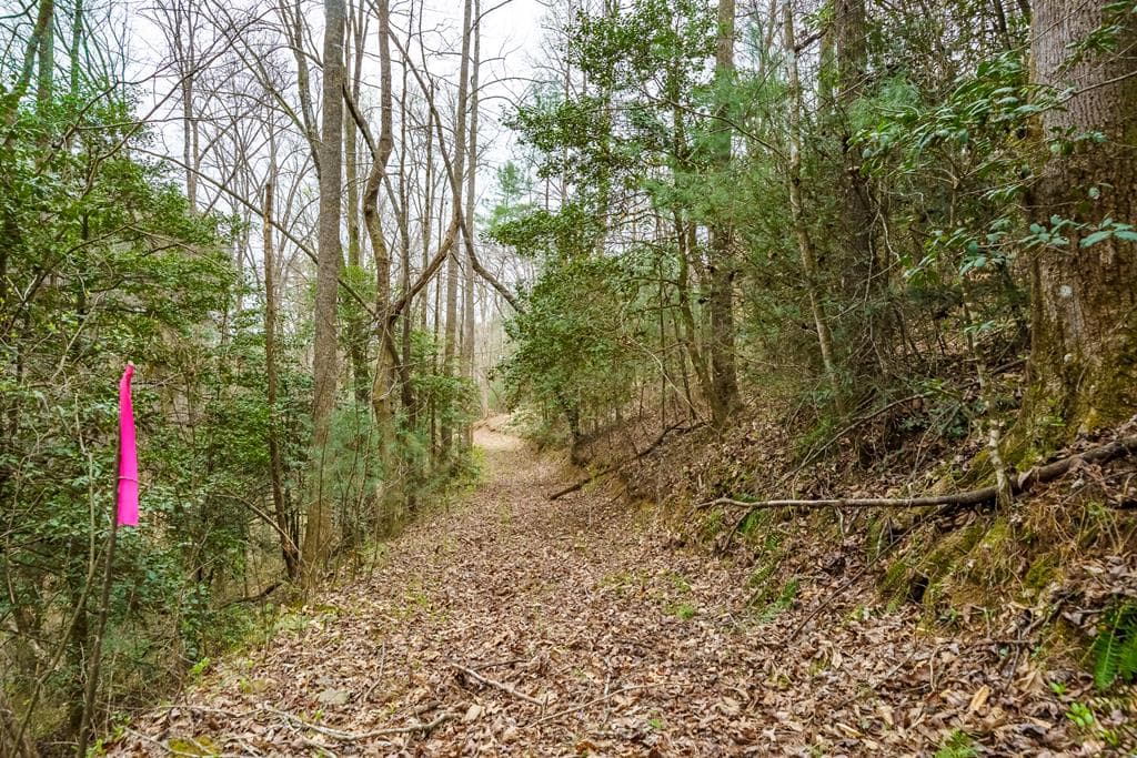 0 Red Oak Trail, Ellijay GA 30540 - Photo