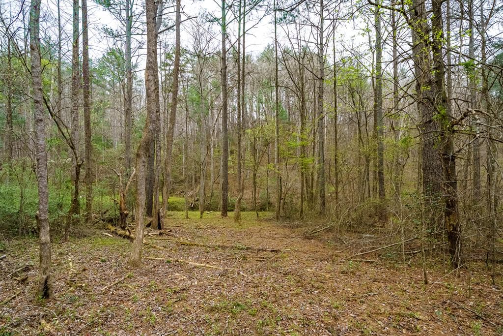 0 Red Oak Trail, Ellijay GA 30540 - Photo