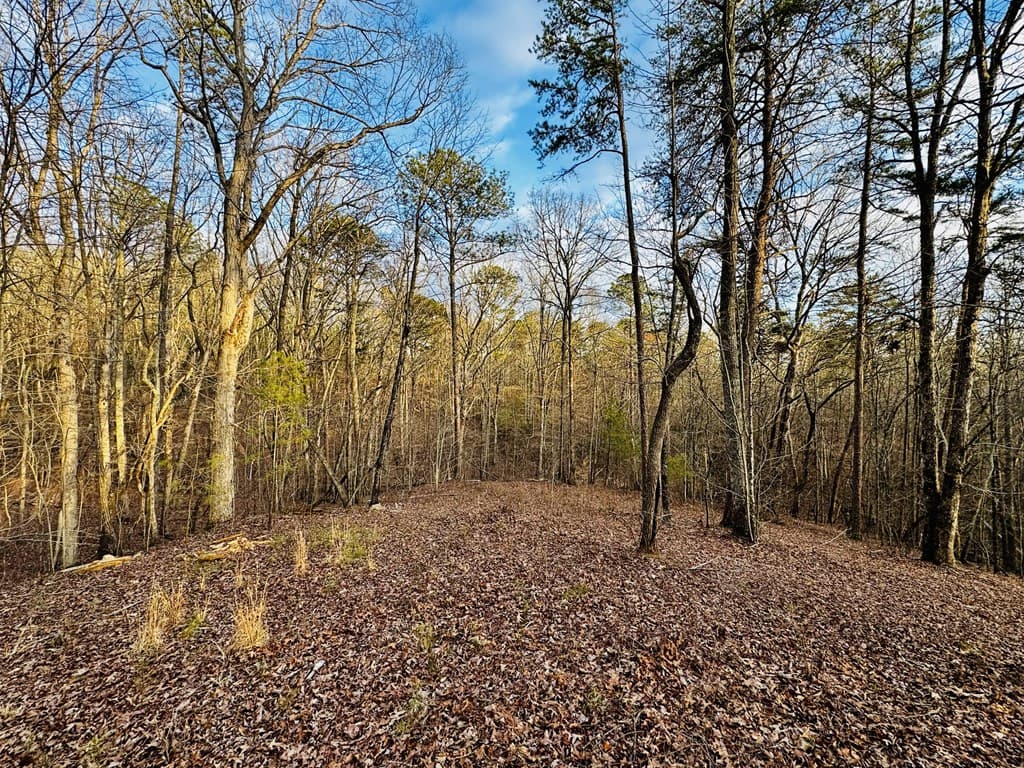287 Lookout Valley Trail, Talking Rock GA 30175 - Photo