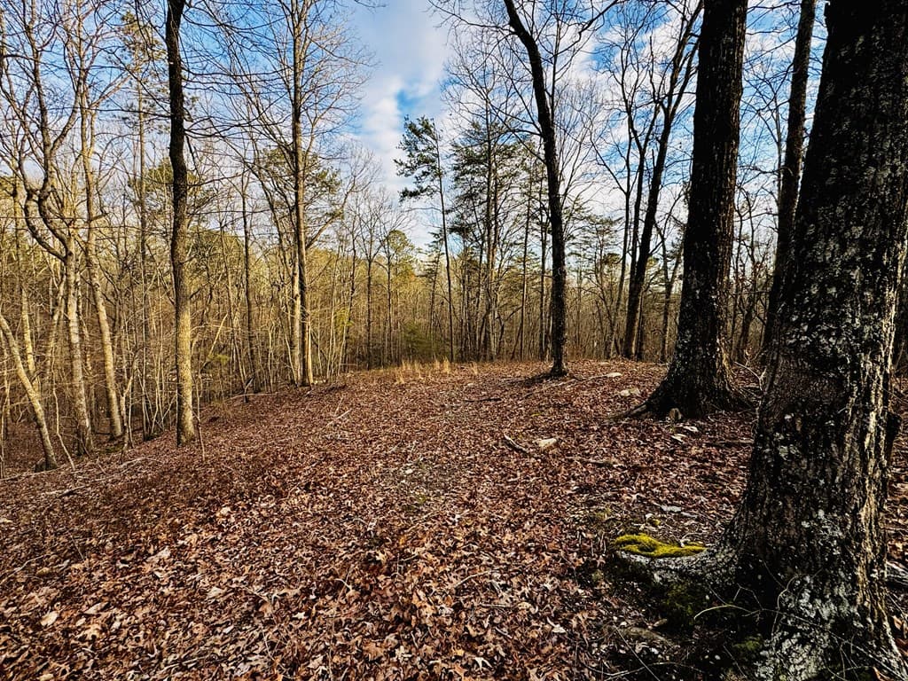 287 Lookout Valley Trail, Talking Rock GA 30175 - Photo