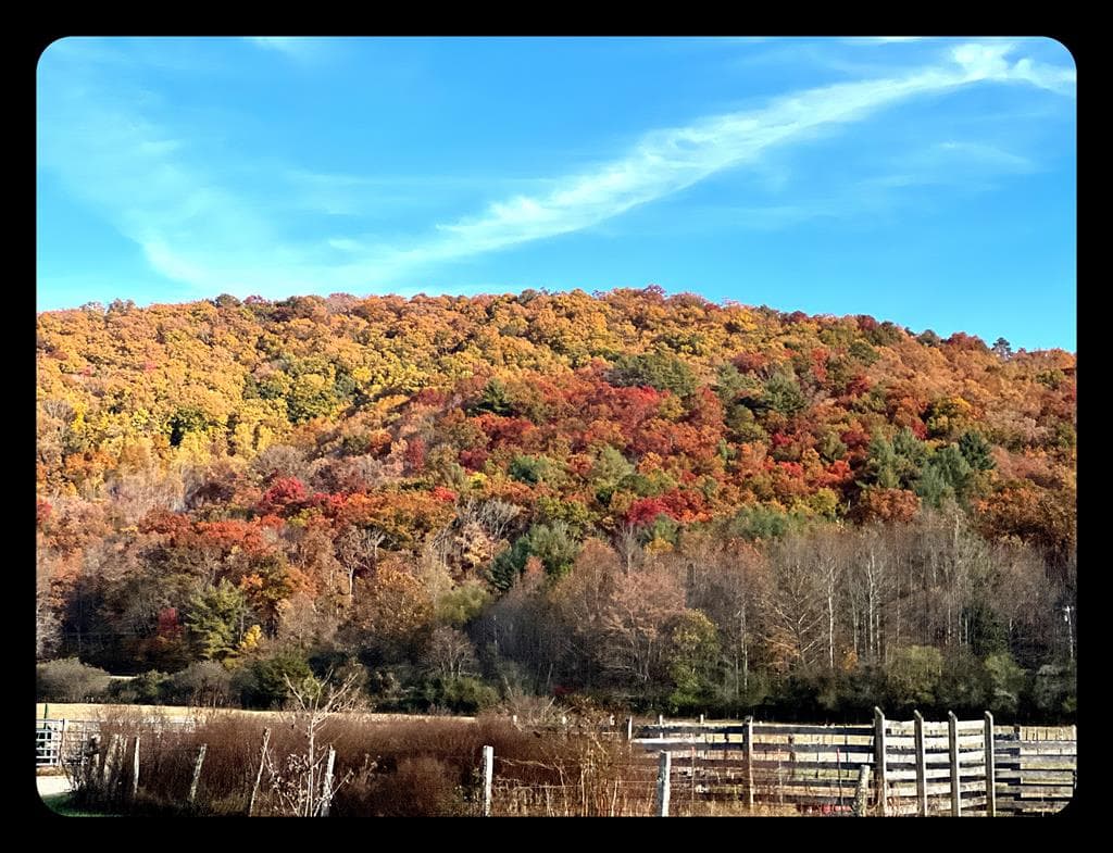 32 Mountain Meadows Drive, Hayesville NC 28904 - Photo