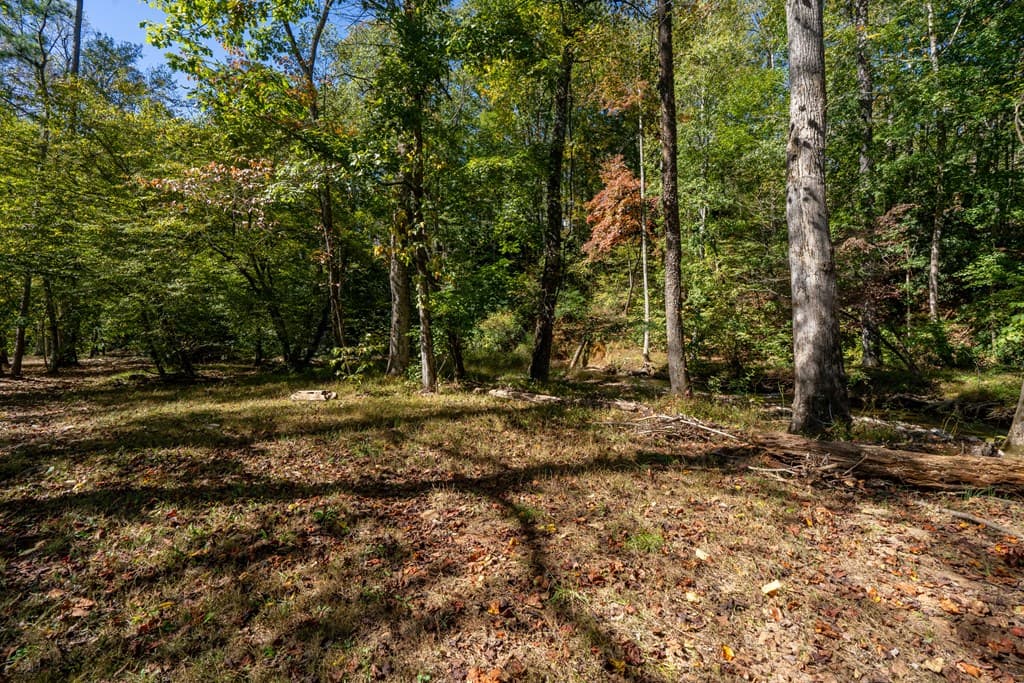 32 Mountain Meadows Drive, Hayesville NC 28904 - Photo