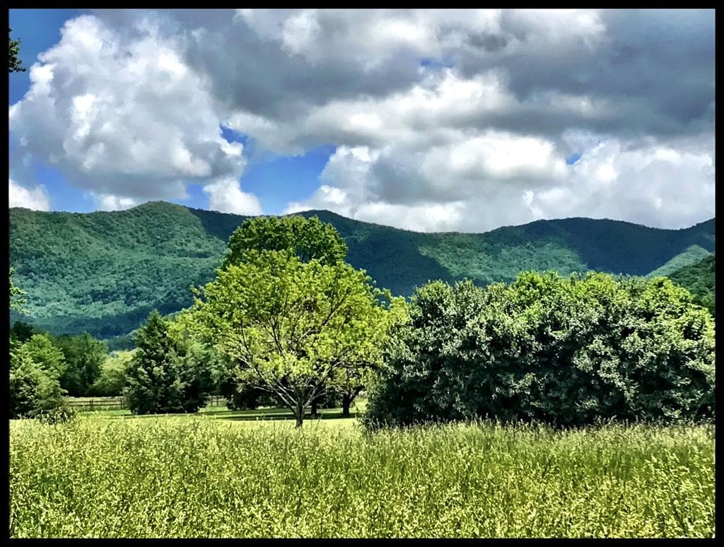 32 Mountain Meadows Drive, Hayesville NC 28904 - Photo