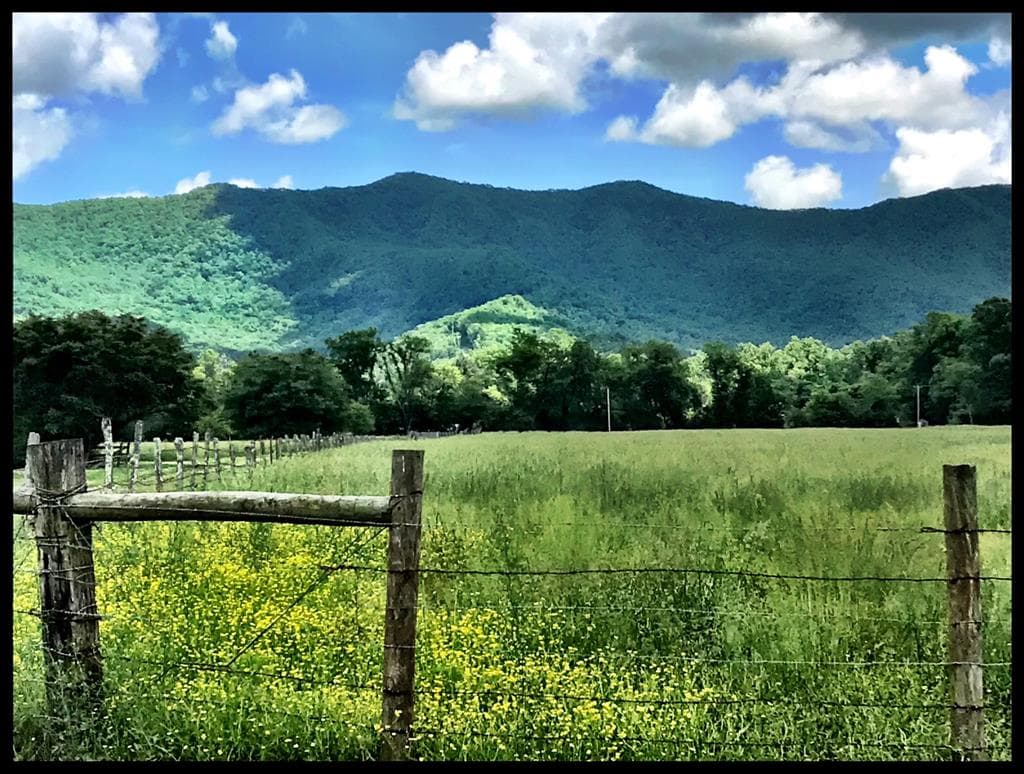 32 Mountain Meadows Drive, Hayesville NC 28904 - Photo
