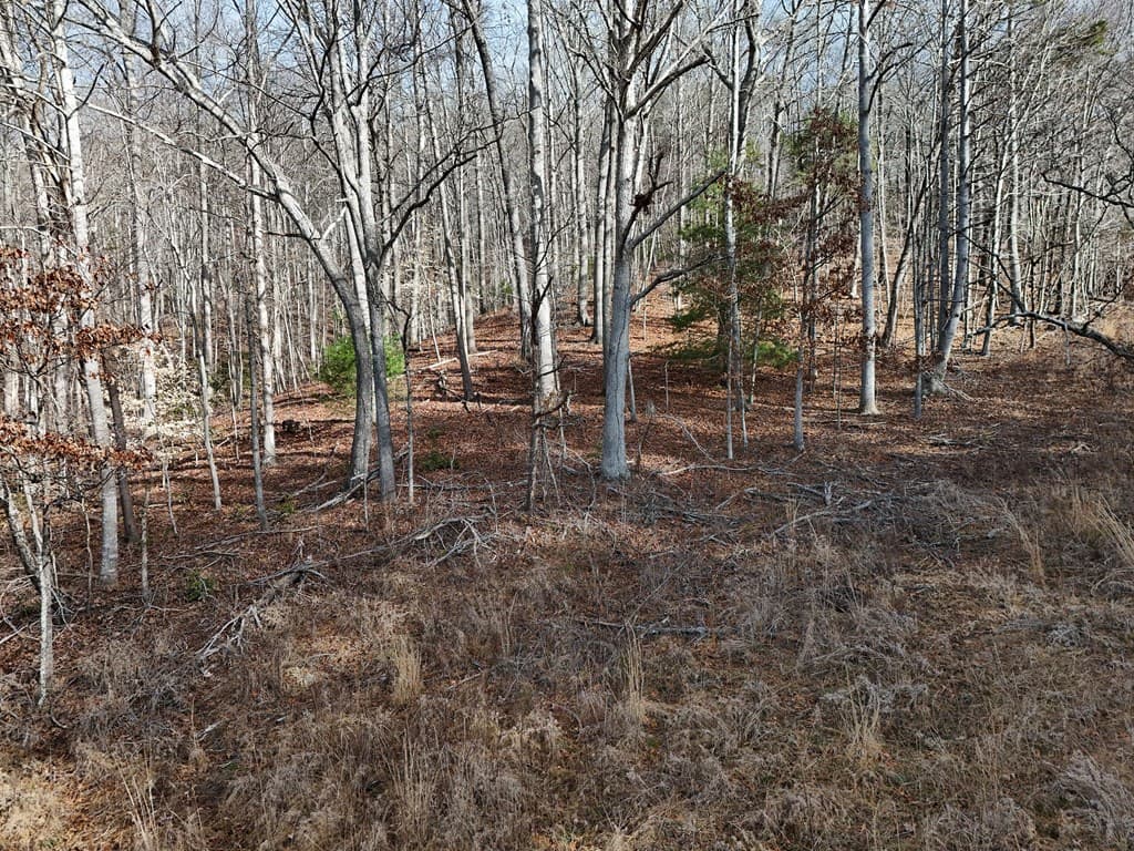 Lot 1 Jordan Road, Blairsville GA 30512 - Photo