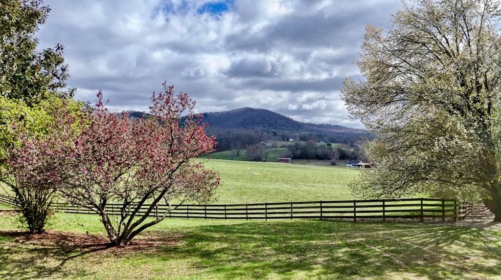 205 Oak Ridge Road, Morganton GA 30560 - Photo
