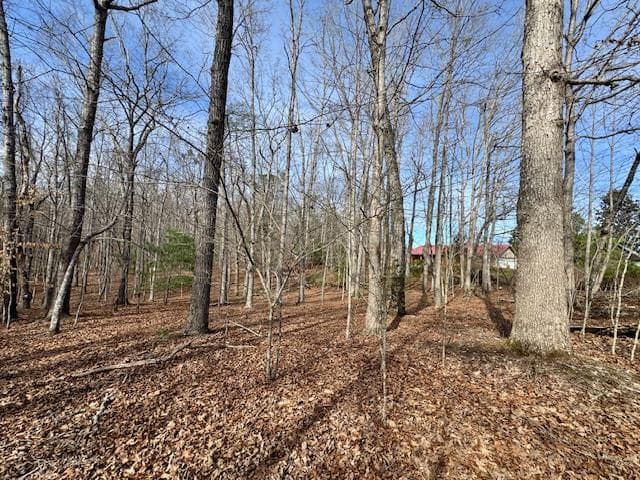 205 Oak Ridge Road, Morganton GA 30560 - Photo