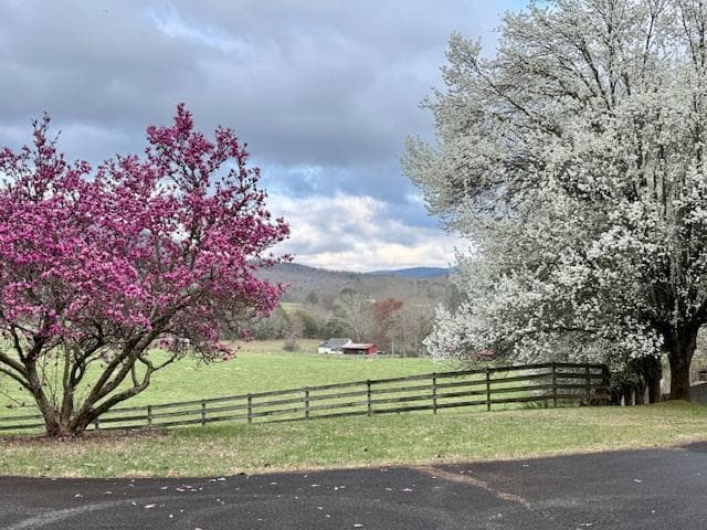205 Oak Ridge Road, Morganton GA 30560 - Photo