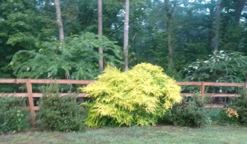 57 Cherry Court, Ellijay GA 30540 - Photo
