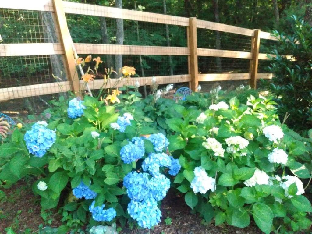 57 Cherry Court, Ellijay GA 30540 - Photo