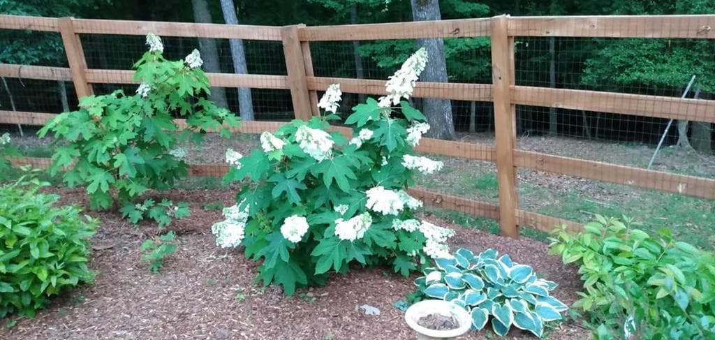 57 Cherry Court, Ellijay GA 30540 - Photo