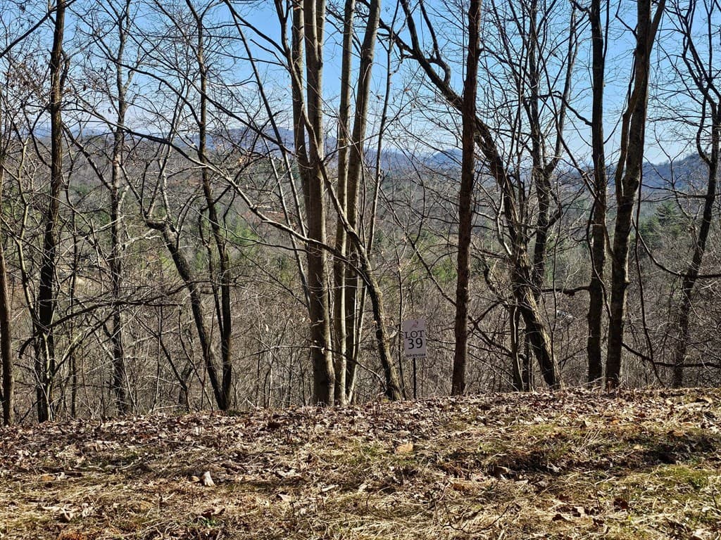 Lot 39 Merlin Trail/Warbler Road, Murphy NC 28906 - Photo