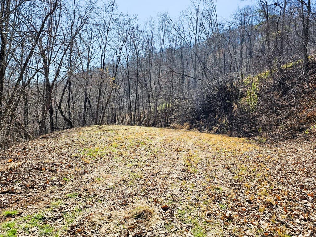 Lot 39 Merlin Trail/Warbler Road, Murphy NC 28906 - Photo
