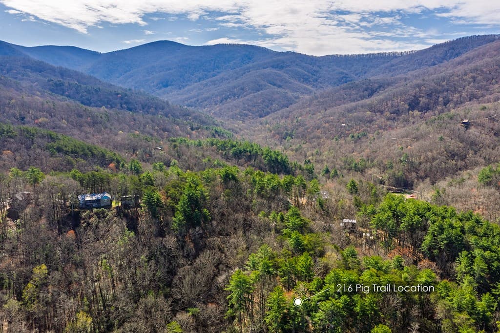 216 Pig Trail, Cherry Log GA 30522 - Photo