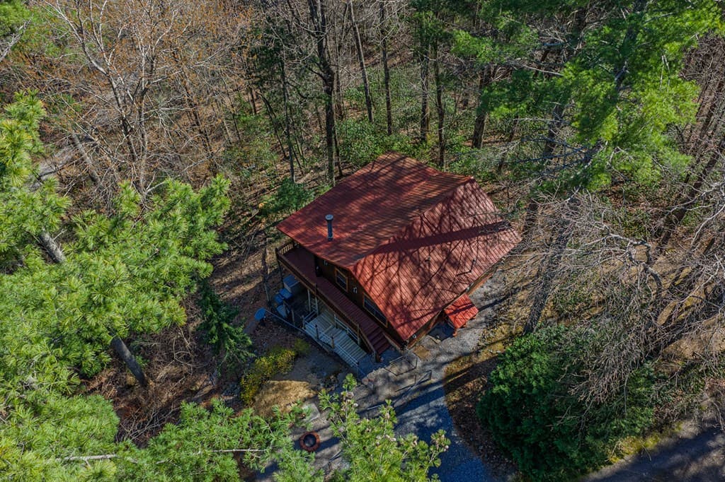 216 Pig Trail, Cherry Log GA 30522 - Photo