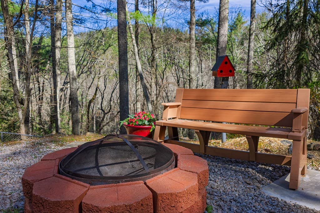 216 Pig Trail, Cherry Log GA 30522 - Photo