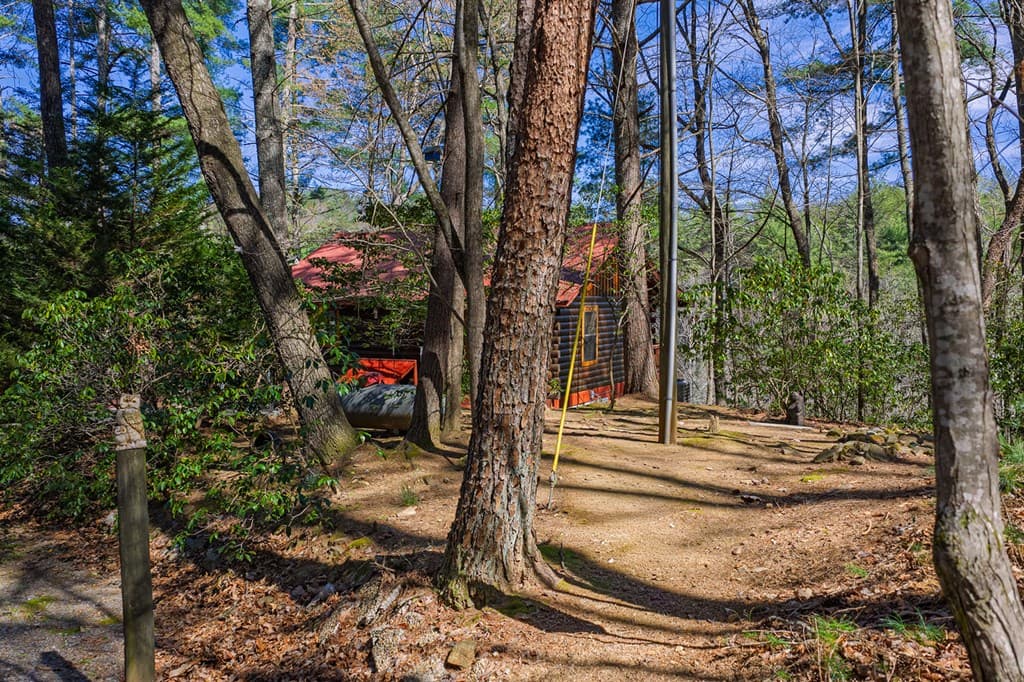216 Pig Trail, Cherry Log GA 30522 - Photo