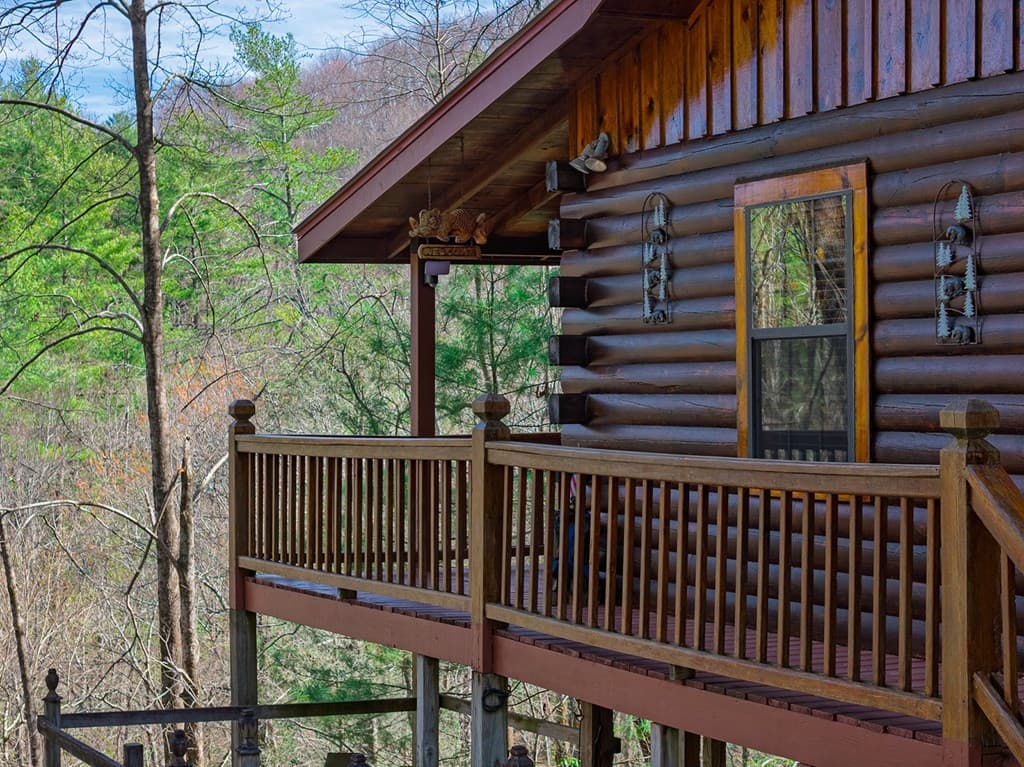 216 Pig Trail, Cherry Log GA 30522 - Photo
