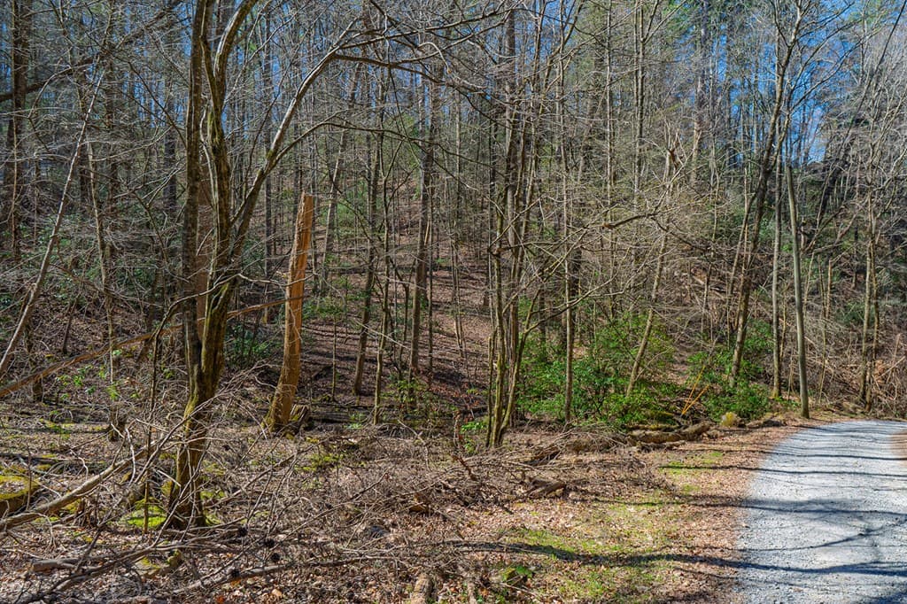 216 Pig Trail, Cherry Log GA 30522 - Photo
