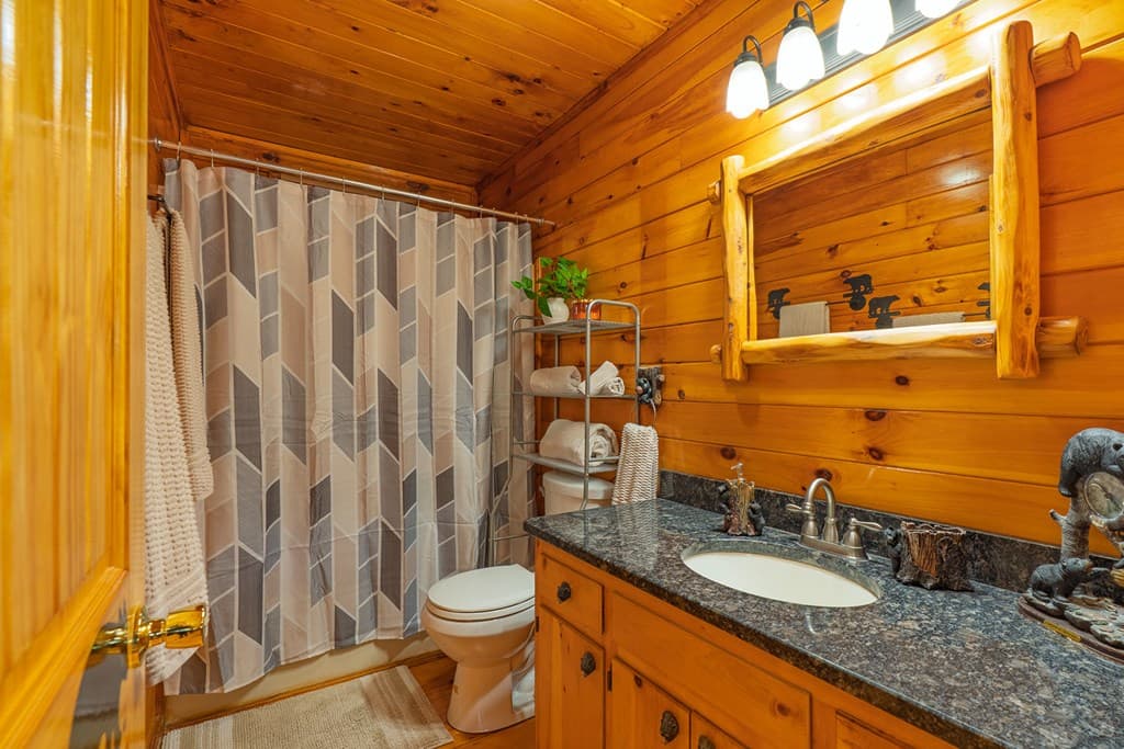 216 Pig Trail, Cherry Log GA 30522 - Photo