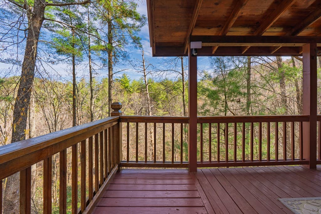 216 Pig Trail, Cherry Log GA 30522 - Photo