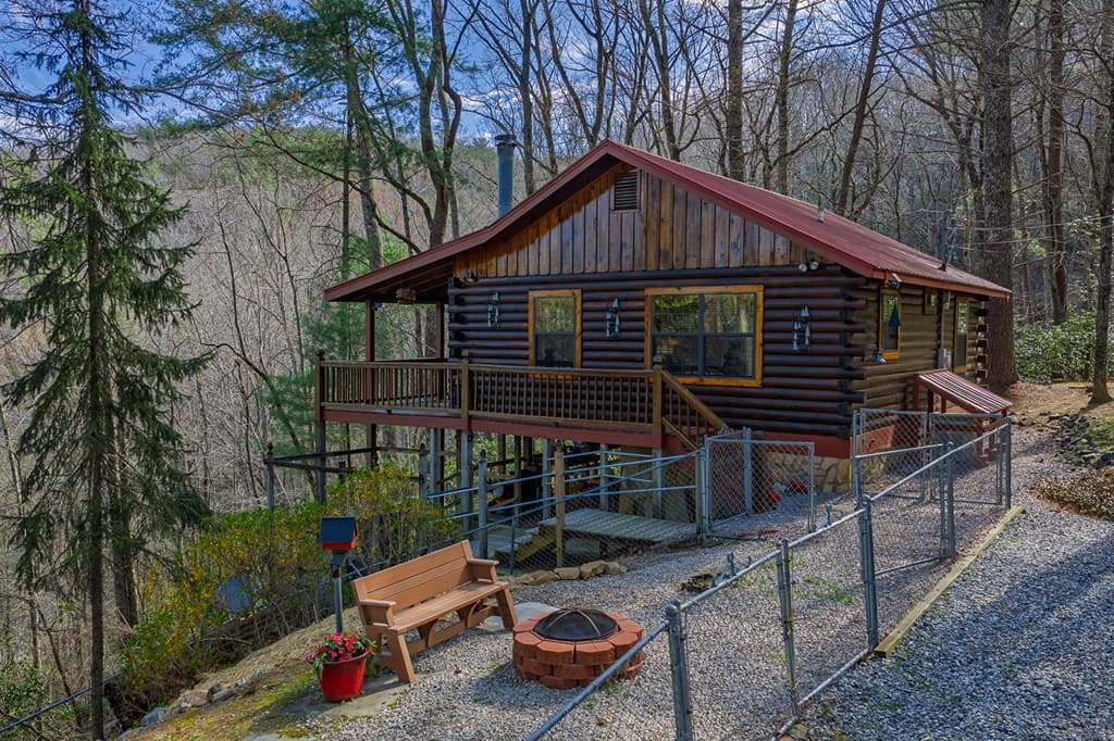 216 Pig Trail, Cherry Log GA 30522 - Photo