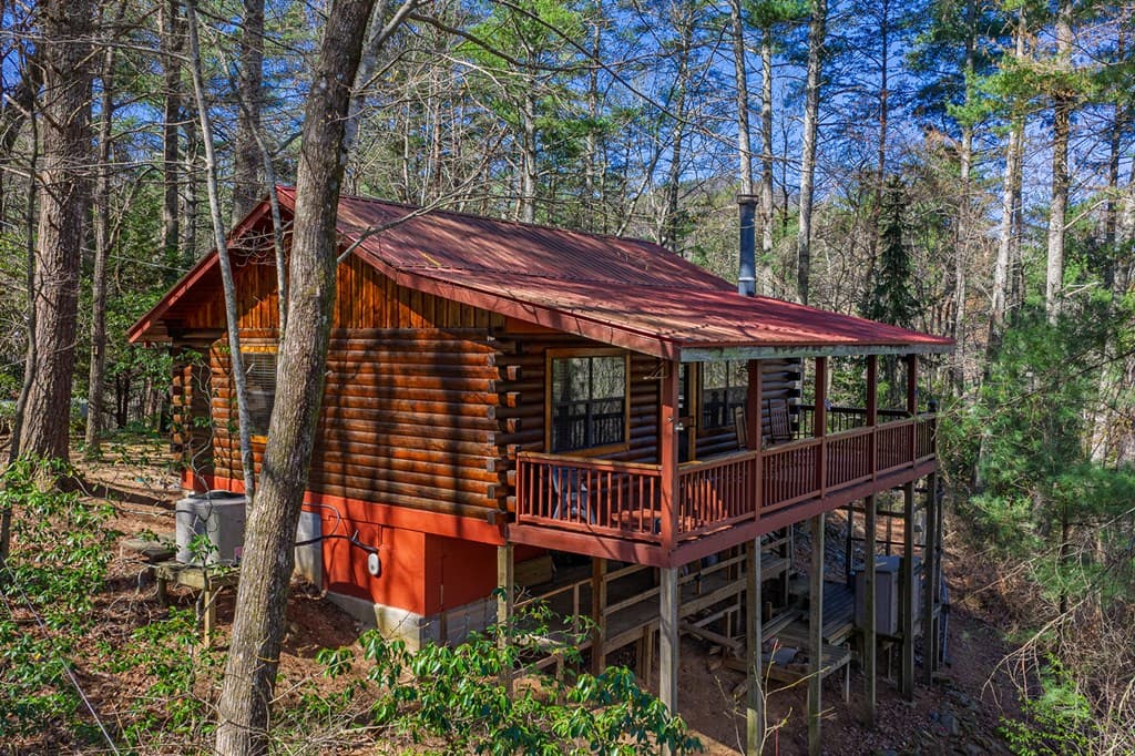 216 Pig Trail, Cherry Log GA 30522 - Photo