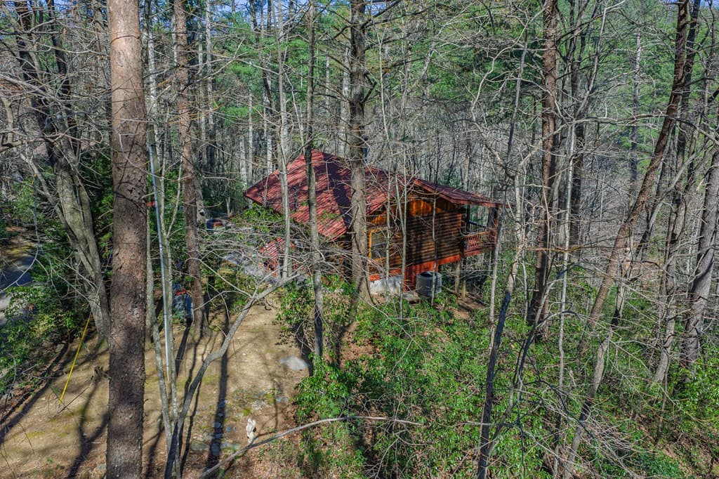 216 Pig Trail, Cherry Log GA 30522 - Photo