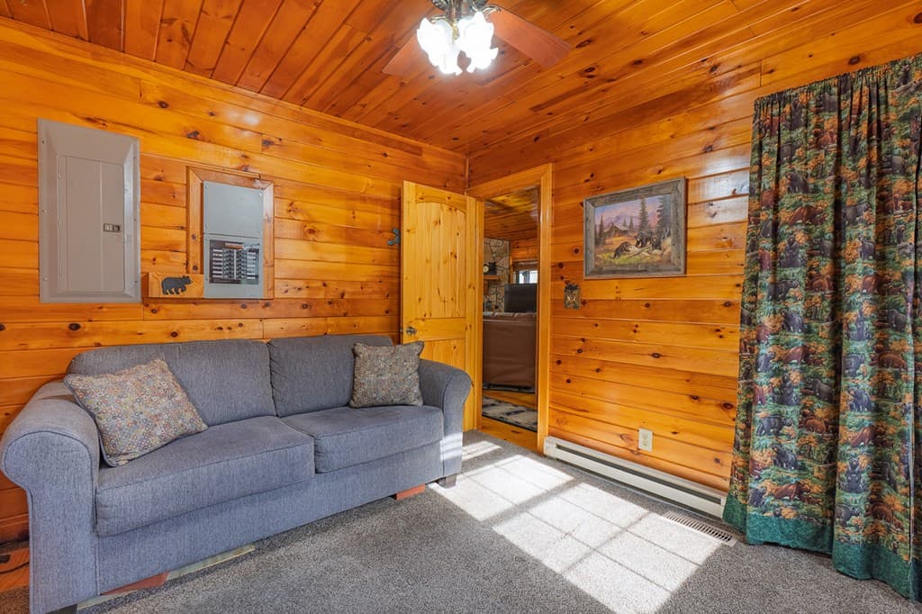 216 Pig Trail, Cherry Log GA 30522 - Photo