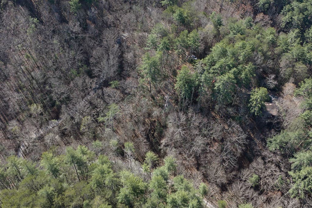 216 Pig Trail, Cherry Log GA 30522 - Photo