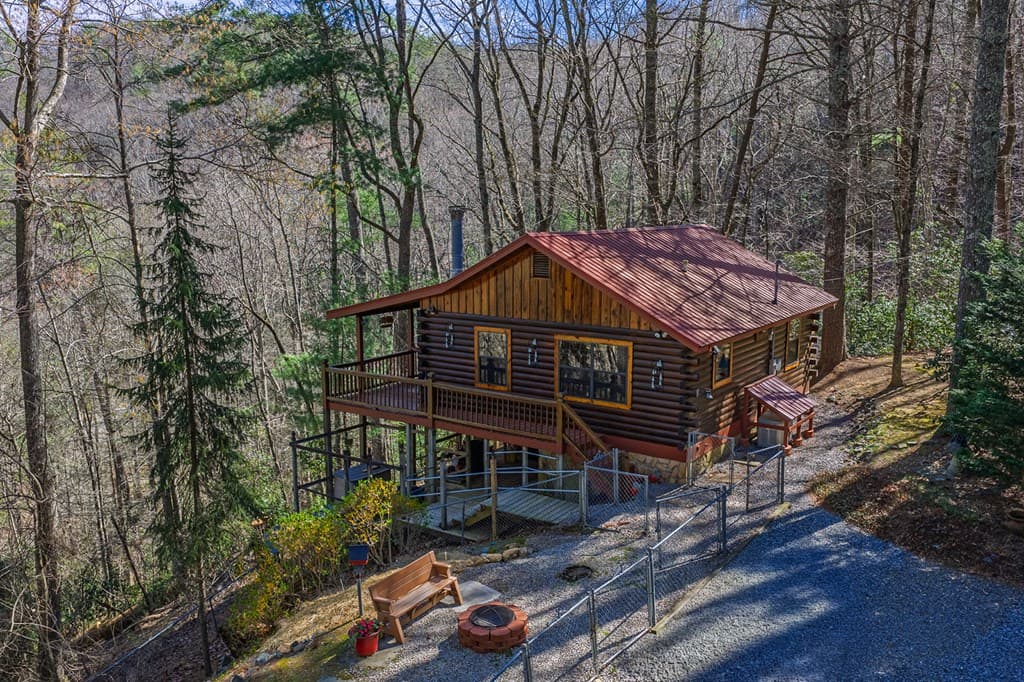 216 Pig Trail, Cherry Log GA 30522 - Photo