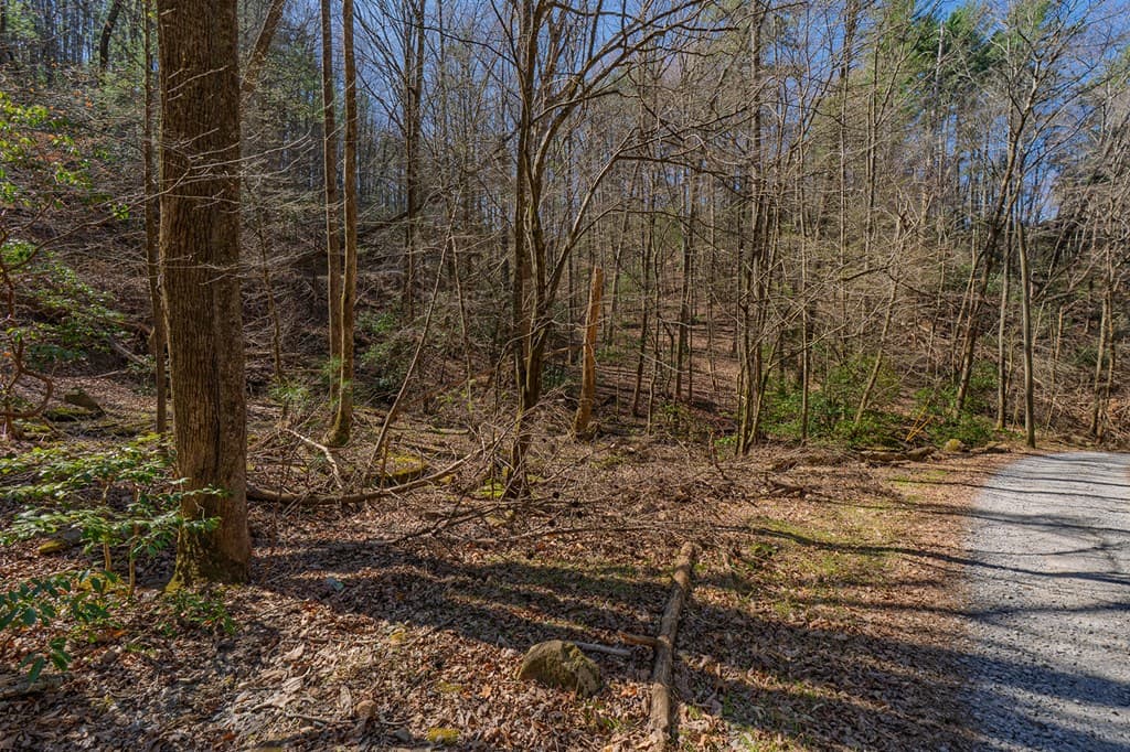 216 Pig Trail, Cherry Log GA 30522 - Photo