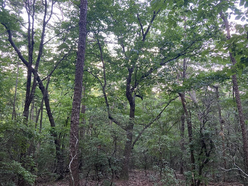 Lot 58 Cherokee Circle, Ellijay GA 30536 - Photo