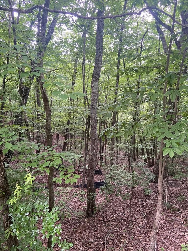 Lot 58 Cherokee Circle, Ellijay GA 30536 - Photo