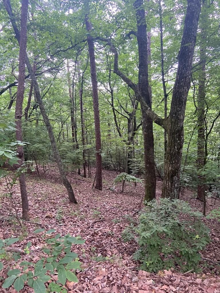 Lot 58 Cherokee Circle, Ellijay GA 30536 - Photo