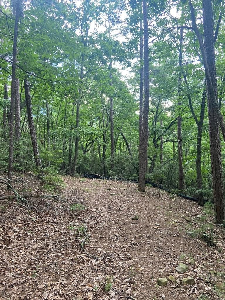 Lot 58 Cherokee Circle, Ellijay GA 30536 - Photo