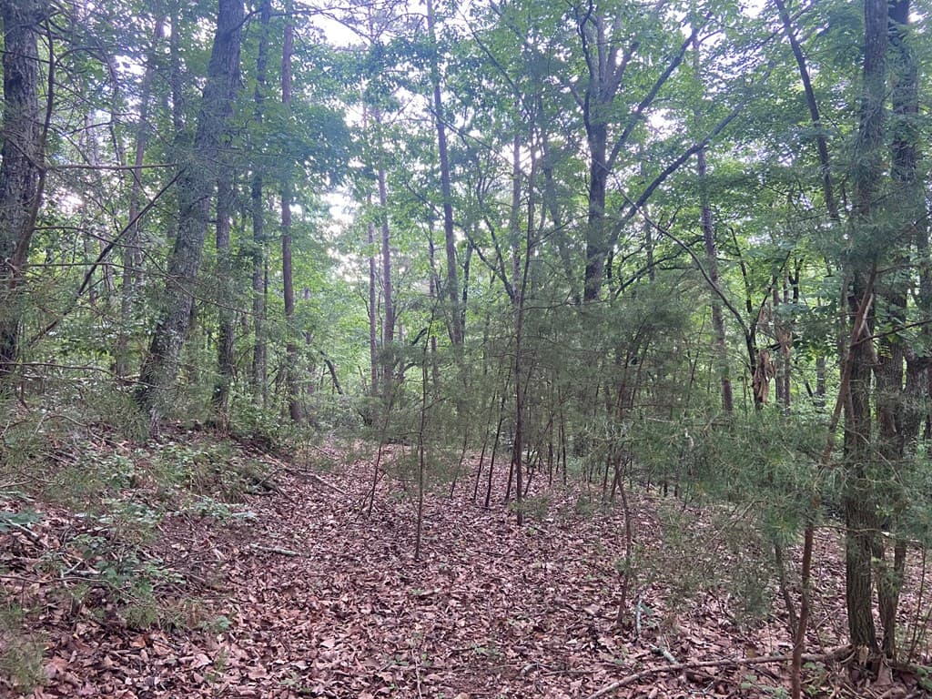 Lot 58 Cherokee Circle, Ellijay GA 30536 - Photo