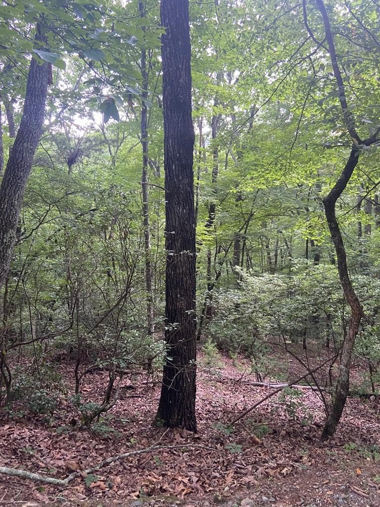 Lot 58 Cherokee Circle, Ellijay GA 30536 - Photo